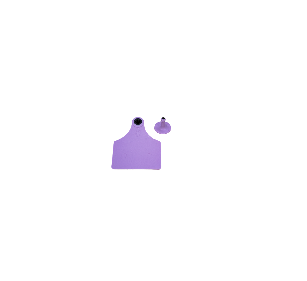 00000419A.png