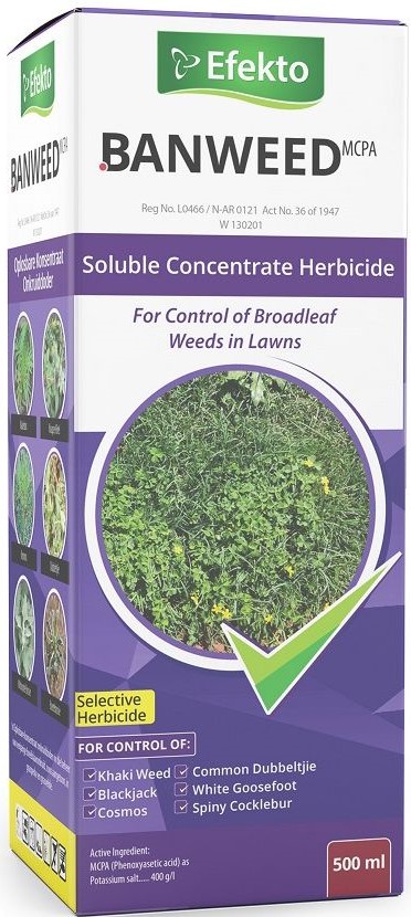 A soluble concentrate herbicide for The control of annual broadleaf weeds, as listed, in Lawns and turf.