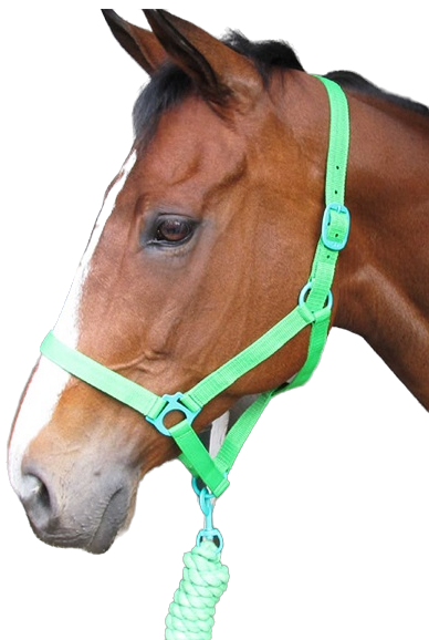 Easy fit with buckling neck strap. Nicely fitting noseband that does not sag. Includes a twisted rope lead. Small/Pony, Medium/Cob, Large/Horse, XL/Warmblood.
