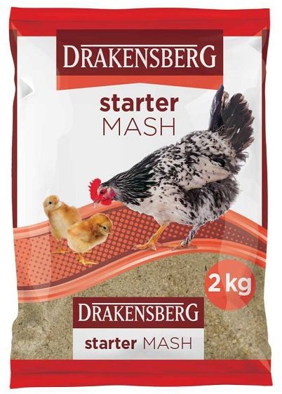 Starter mash is a protein-dense variety of chicken feed designed to meet the dietary requirements of baby chicks. Baby chicks can live comfortably on a diet of starter feed and water for the first 6 weeks of their life before progressing onto grower feed.
