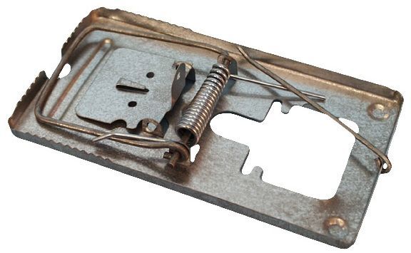 Metal frame.