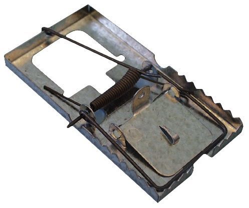 Metal frame.
