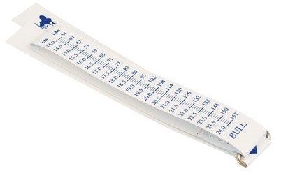 Weigh band cattle.