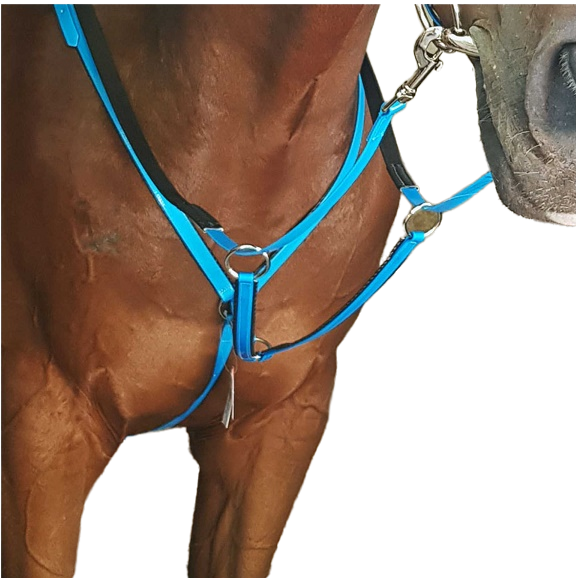 Very popular for endurance. Used to prevent the saddle from slipping back. Includes a detachable running martingale attachment. Padded straps relieve any pressure and are more comfortable for the horse. Made using genuine American Biothane. Biothane is strong, soft and supple and will not crack. It is also low maintenance, will not absorb sweat or water and is easy to clean. Colours - Black, white, brown, red, orange, pink, turquoise, royal, lime, purple, yellow.