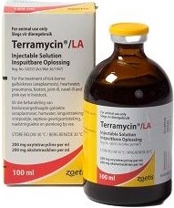 Terramycin® LA Injectable solution is a patented formulation containing 200mg oxytetracycline per ml. The formulation, because of its unique carrier, provides sustained oxytetracycline in blood levels for 3  5 days in cattle, sheep, goats and pigs after a single 1ml / 10kg injection.