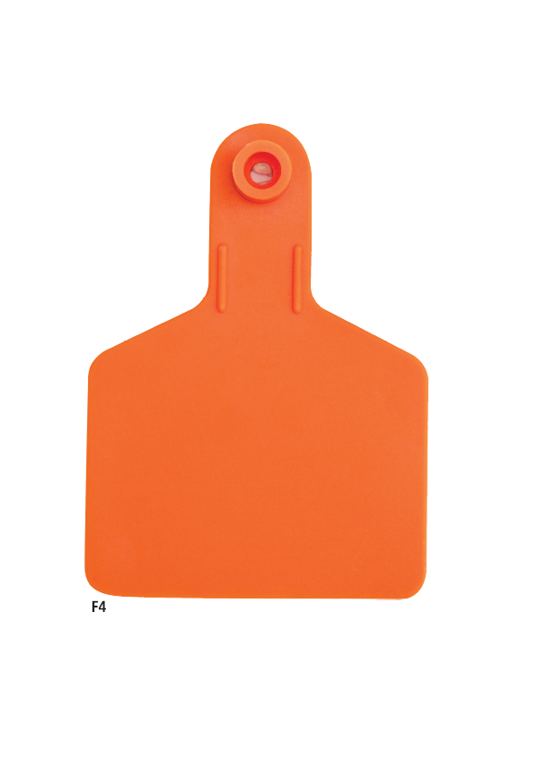 300a.PNG