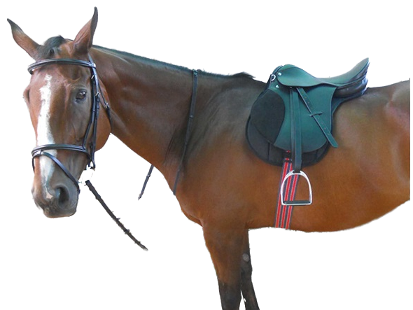 Ready to ride kit, includes girth, stirrups, stirrup leathers, numnah (saddle pad), bridle and bit in a zipped carry bagTree: Medium wither fit. Wood with metal reinforcing. Seat: Deep seat, English style. Twist - medium. Panels: Padded with flocking. Flaps: have suede knee pads for extra grip. Bridle: Leather. Girth: Web. Numnah: Felt.