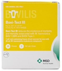 This modified live vaccine reduces the incidence of morbidity and mortality caused by Mannheimia haemolytica , BHV-1 (IBR) and BVDV Type 1.