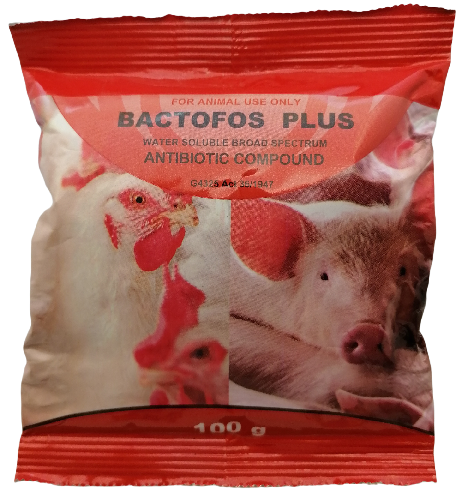 Bactofos Plus is a broad spectrum antibiotic that contains Fosfomycin and tylosin, that is active against gram negative and gram positive bacteria and mycoplasma. It can be used for the treatment of bacterial infections in poultry and swine caused by gram-positive and gram-negative bacteria which are sensitive to Fosfomycin and Tylosin. These include mycoplasmas, colibacillosis, chronic respiratory disease, coryza, fowl typhoid, avian cholera, listeria, staph infections and diseases in poultry and swine. ADMINISTRATION AND DOSAGE: Small operations: Mix 1g per 1lt of drinking water or 1 heaped teaspoon per 5lt of drinking water. Large operations: Mix 160mg per kg live mass in drinking water. Administer orally by mixing with drinking water for 3  5 consecutive days or as instructed by attending veterinarian.