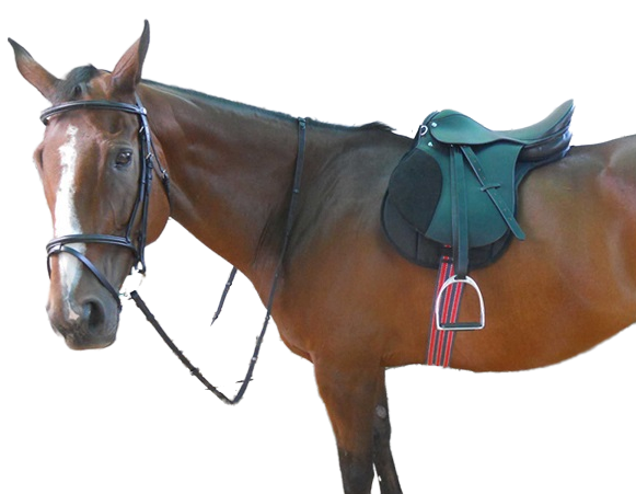 Ready to ride kit, includes girth, stirrups, stirrup leathers, numnah (saddle pad), bridle and bit in a zipped carry bagTree: Medium wither fit. Wood with metal reinforcing. Seat: Deep seat, English style. Twist - medium. Panels: Padded with flocking. Flaps: have suede knee pads for extra grip. Bridle: Leather. Girth: Padded web. Numnah: Cotton shaped.