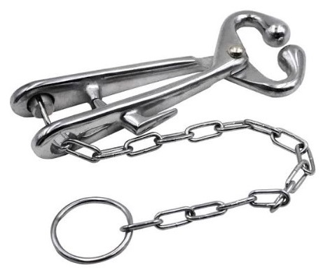Bull nose plier.
