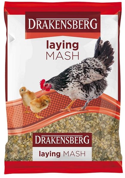 Once hens start laying eggs ( 17-20 weeks of age), they can be switched over to laying mash. The balance of protein, calcium and other vitamins and minerals will encourage top tier egg laying abilities in a flock of hens. Extra calcium added to the laying mash helps ensure that the eggshells are crisp, clean and crunchy.