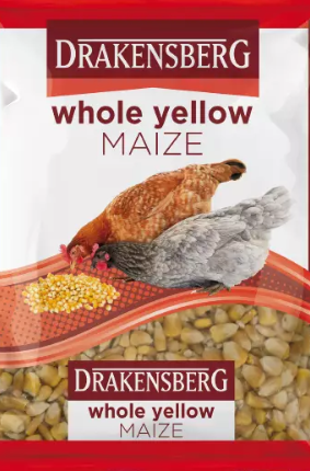 Maize is high in carbohydrates and fat, making it the ideal treat for free-walking and caged poultry. The whole variety is ideal for larger birds such as turkeys, geese, and ostriches.