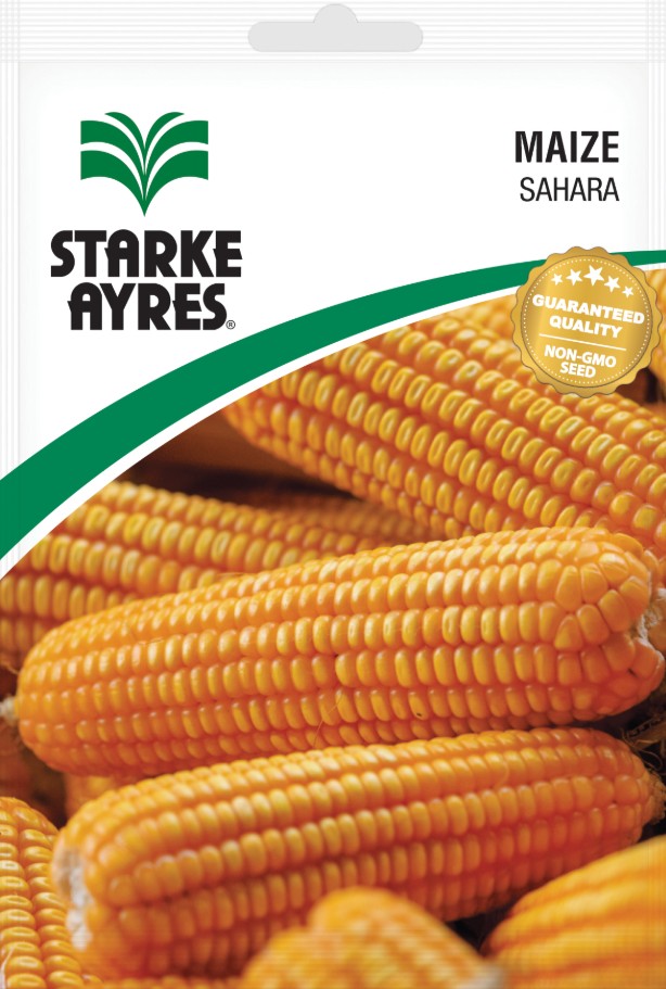 Seed Maize Sahara Yellow 10kg