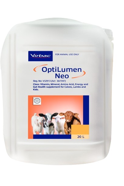 A highly concentrated liquid drench containing Energy, bio-available Vitamins, Amino Acids, Essential Trace Minerals and Gut Health Enhancers formulated for calves, lambs and kids. OptiLumen Neo can be a valuable aid in promoting immunity and growth in new