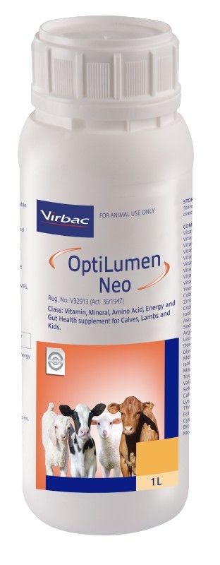 A highly concentrated liquid drench containing Energy, bio-available Vitamins, Amino Acids, Essential Trace Minerals and Gut Health. Enhancers formulated for calves, lambs and kids. OptiLumen Neo can be a valuable aid in promoting immunity and growth in ne