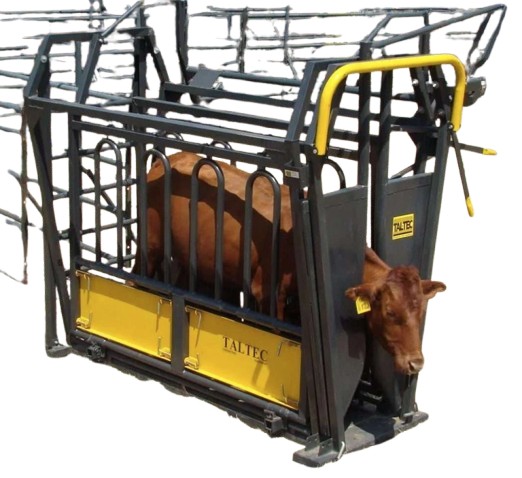 The neck and body clamp securely holds cattle in place, allowing farmers to work efficiently. It provides full access to the animals body, making it ideal for branding, dosing, embryo transfer, ear tagging, and foot care. The clamp can be easily adjusted to fit both bulls and small calves. It includes a neck clamp and sliding gate, and can also be used as a scale when paired with the LS4 1000mm loadbar scale.