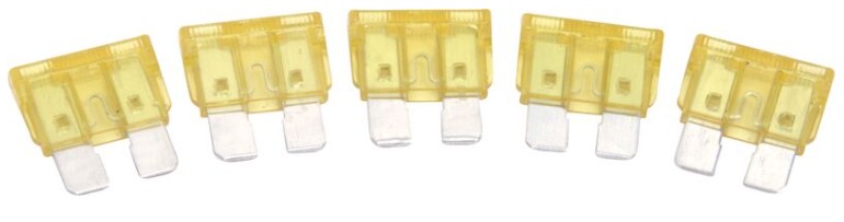 5 robust 20-amp blade fuses, designed for high-demand applications like power windows or fans.