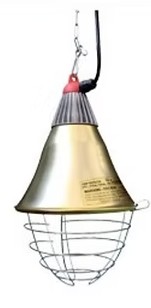 Lamp Protector Infrared Without Switch Lionel's Vet