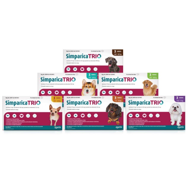 Simparica Trio uniquely combines sarolaner, moxidectin, and pyrantel to provide proven, broad-spectrum protection against the most common external and internal parasites affecting dogs. This fast-acting, monthly chewable tablet kills ticks and fleas, treats roundworms and hookworms, and helps prevent heartworm disease, helping to keep pets healthy and protected. It simplifies parasite control by offering multiple benefits in a single treatment and is suitable for dogs and puppies from 8 weeks of age weighing at least 1.25 kg. The tasty chew can be administered with or without food, making monthly dosing easy and convenient.