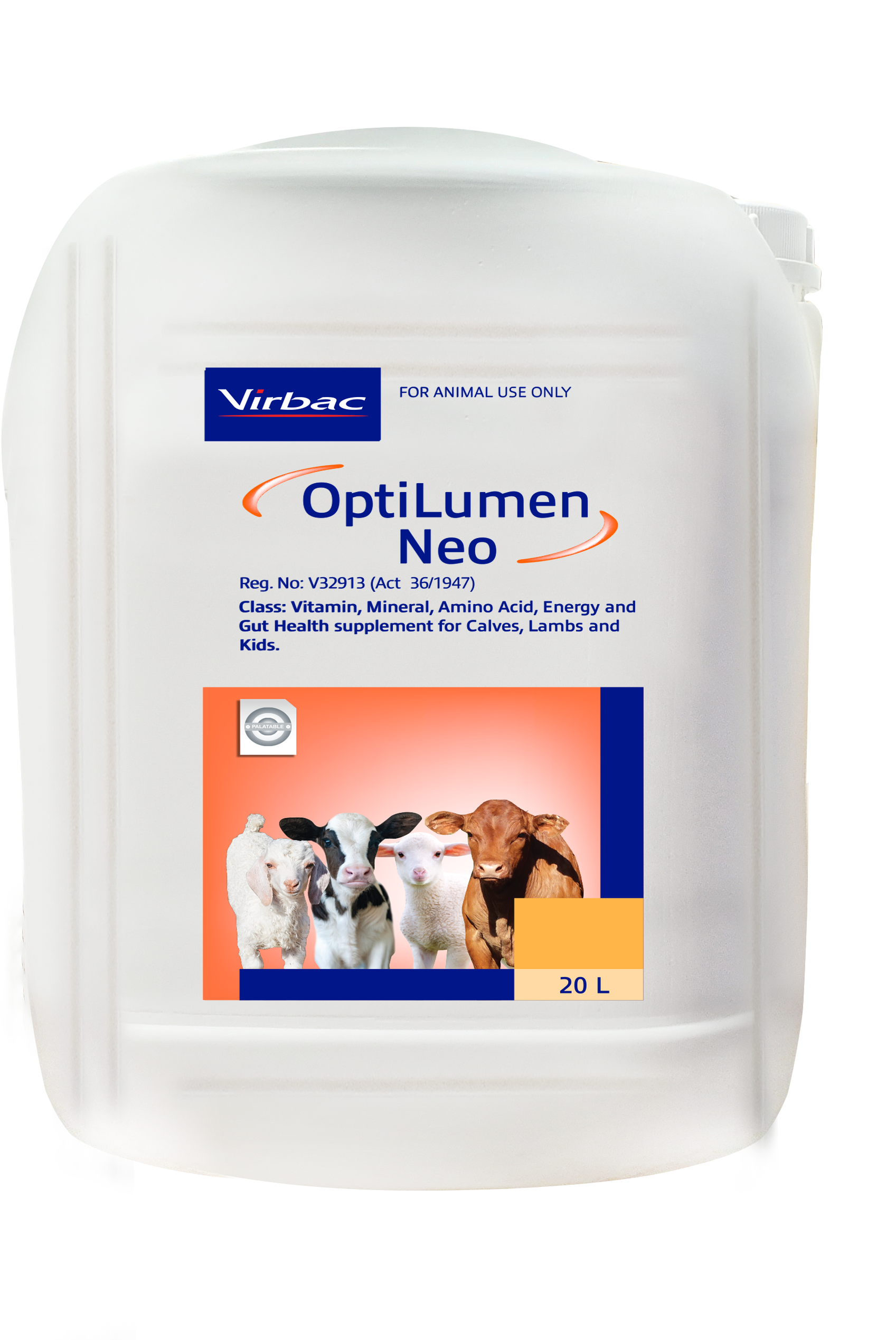 A highly concentrated liquid drench containing Energy, bio-available Vitamins, Amino Acids, Essential Trace Minerals and Gut Health Enhancers formulated for calves, lambs and kids. OptiLumen Neo can be a valuable aid in promoting immunity and growth in new