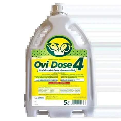 Dosage: Administer 1 ml of OVI DOSE 4 per 5 kg of live body mass. The product is intended for oral administration. A withdrawal period of 49 days must be observed before animals treated with this product may be slaughtered for meat consumption.