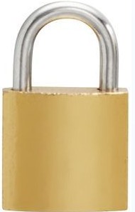 Security iron padlock 25mm brass epoxy coated & includes 2 keys.