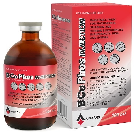 B Co Phos is an injectable tonic for Phosphorous, Selenium and Vitamin B deiciencies in ruminanats, pigs and horses.